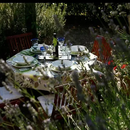 Oasis In Pjescana Uvala, 2 Min From The Sea Pola