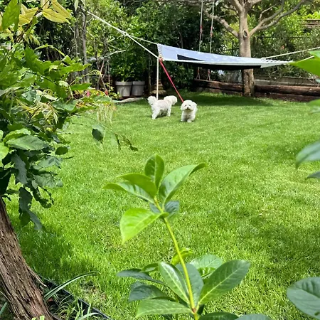 Oasis In Pjescana Uvala, 2 Min From The Sea Appartamento