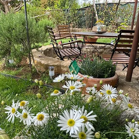 Oasis In Pjescana Uvala, 2 Min From The Sea Appartamento