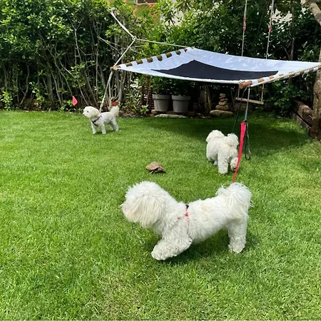 Oasis In Pjescana Uvala, 2 Min From The Sea Appartamento *