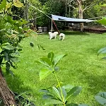Oasis In Pjescana Uvala, 2 Min From The Sea Апартаменты