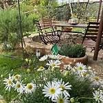 Oasis In Pjescana Uvala, 2 Min From The Sea Апартаменты