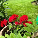 Oasis In Pjescana Uvala, 2 Min From The Sea *