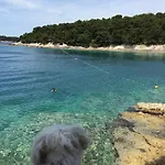 Oasis In Pjescana Uvala, 2 Min From The Sea Appartement