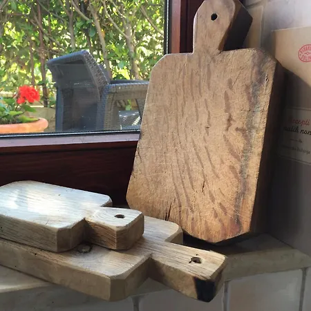 Oasis In Pjescana Uvala, 2 Min From The Sea *