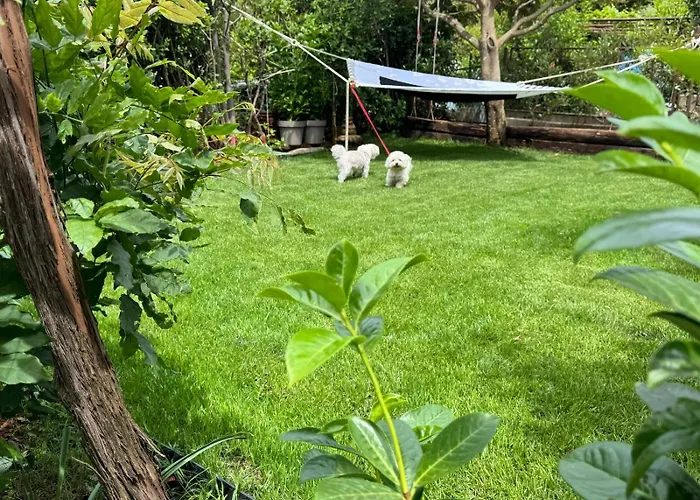 Oasis In Pjescana Uvala, 2 Min From The Sea Apartamento