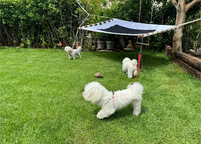 Oasis In Pjescana Uvala, 2 Min From The Sea Apartmán *