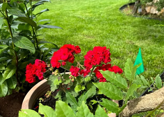 Oasis In Pjescana Uvala, 2 Min From The Sea *