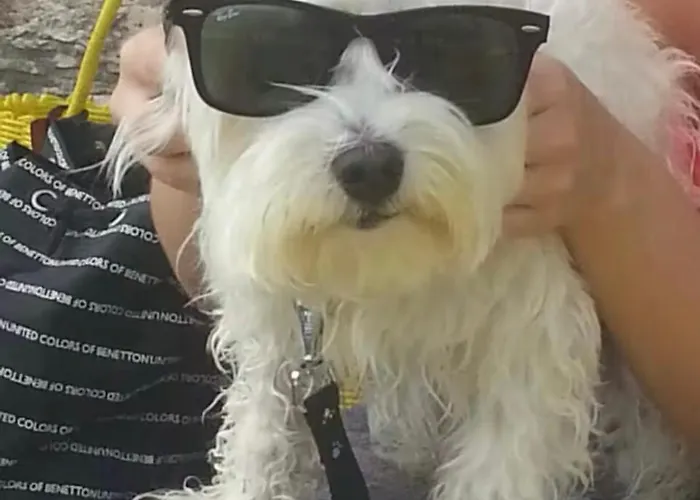 Oasis In Pjescana Uvala, 2 Min From The Sea Apartamento