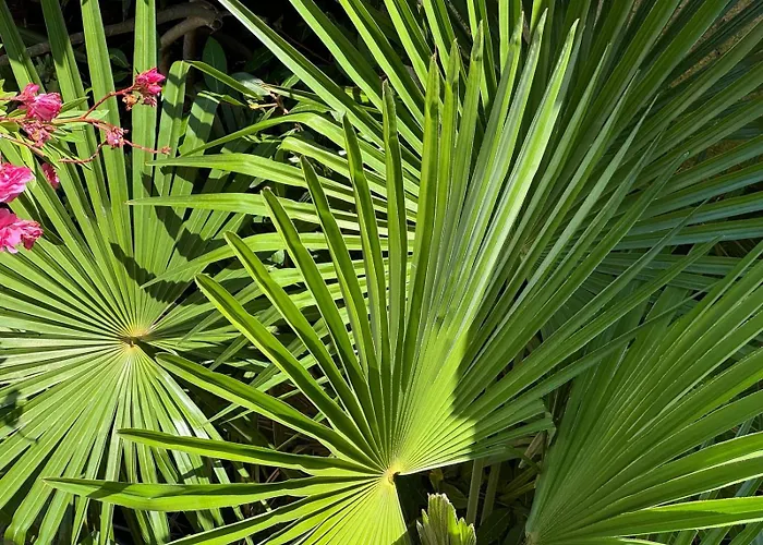 Oasis In Pjescana Uvala, 2 Min From The Sea アパート